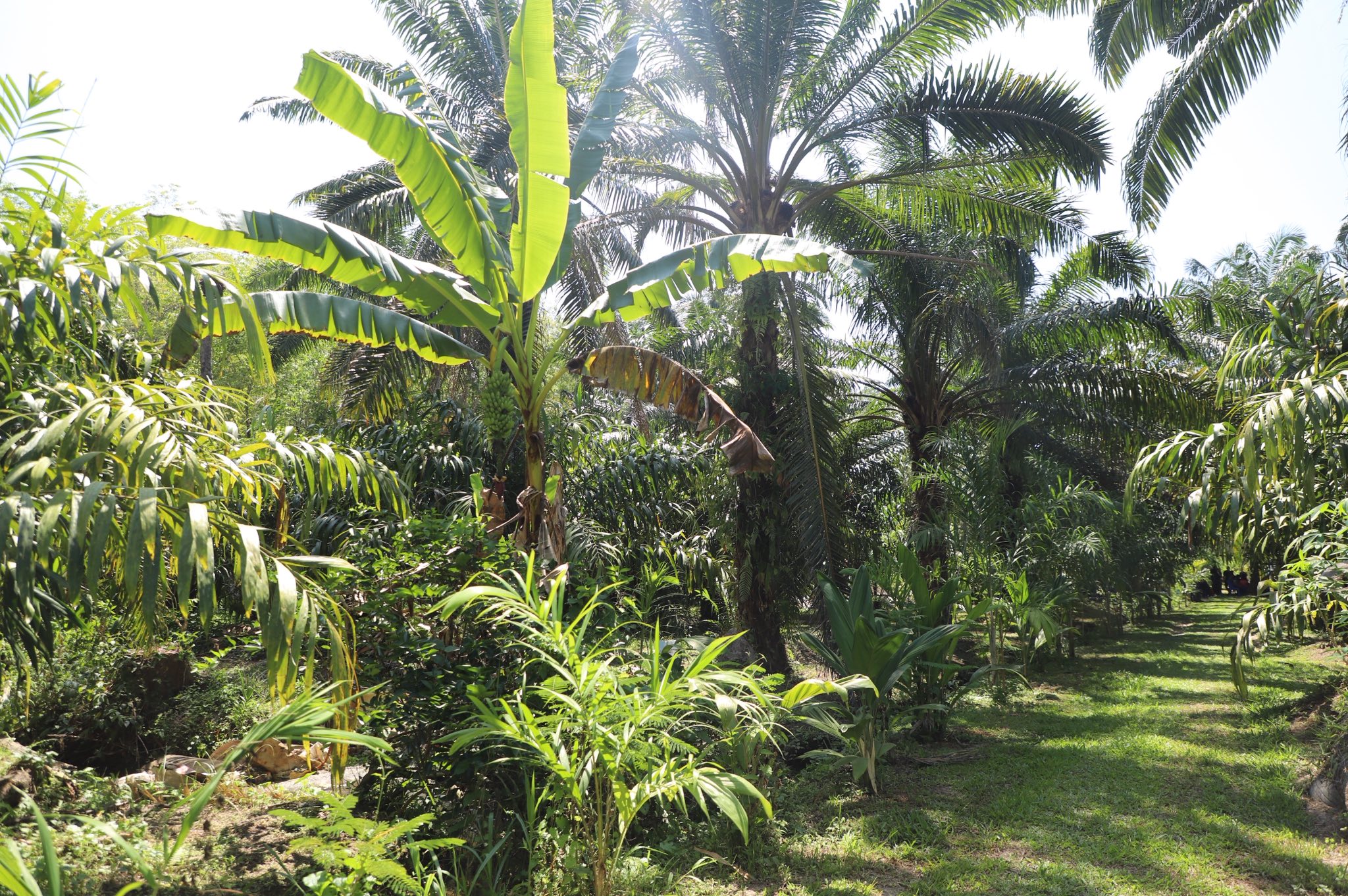 title - เลขาฯ ส.ป.ก. พร้อมคณะ ร่วมลงพื้นที่ติดตามคณะ รมช.กษ. ตรวจราชการ ณ ตำบลอ่าวลึก